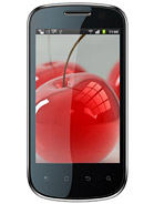 Best available price of Celkon A19 in Morocco