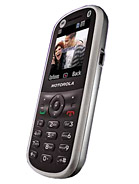 Best available price of Motorola WX288 in Morocco