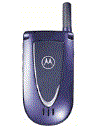 Best available price of Motorola V66i in Morocco